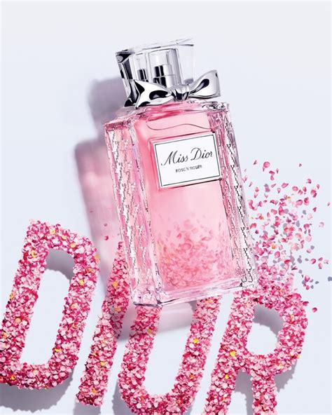 dior rose in roses|Dior rose blooming flowers.